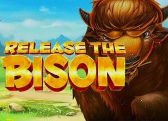 Слот Лебедь казино Release The Bison